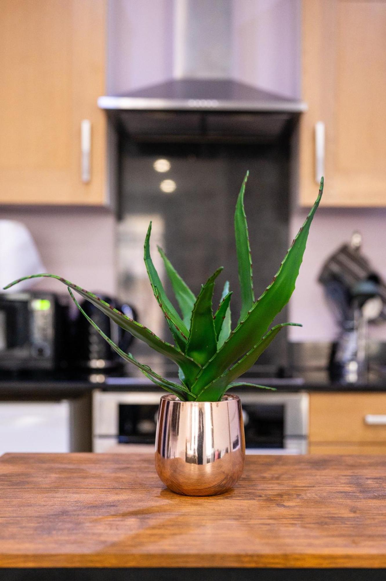 Reef7 - Modern Central Flat, 5 Mins From Beach, Centre And Bournemouth International Centre エクステリア 写真